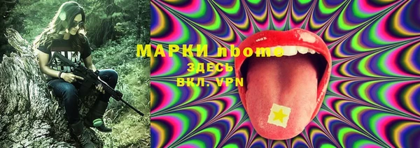 прущая мука Няндома