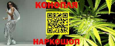гидра Апрелевка