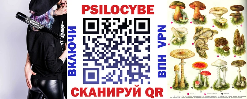 Псилоцибиновые грибы мицелий  наркотики  Шарыпово 
